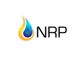 NRP PROJECTS PRIVATE LIMITED  entry by greycrow