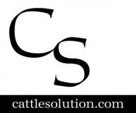 Logo Design entry 307245 submitted by SweetP