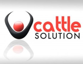 Logo Design entry 307620 submitted by jake400