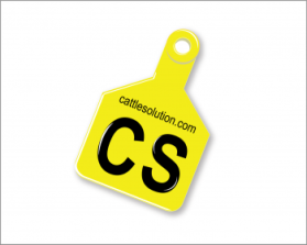 CattleSolution.com entry by Orafaz