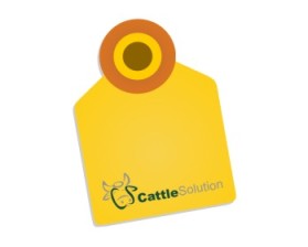 Logo Design entry 309674 submitted by prast