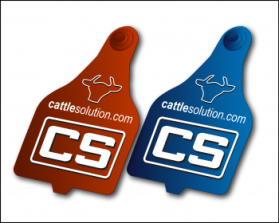 CattleSolution.com entry by Orafaz