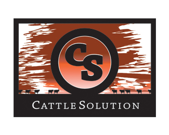 Logo Design entry 311093 submitted by ajfgraphics