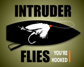 Intruder Flies entry by an anonymous creative