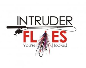 Intruder Flies entry by an anonymous creative