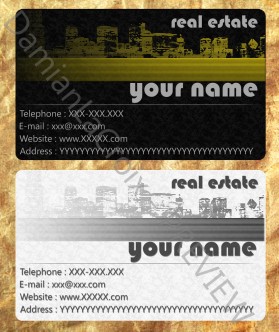 Business Card & Stationery Design entry 309356 submitted by trezor5 to the Business Card & Stationery Design for De Leon Properties LLC run by edeleon67