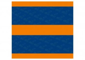 Graphic Design entry 308349 submitted by arman