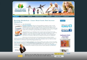 Web Design entry 316119 submitted by nerdcreatives to the Web Design for Health Wellness Connection run by maryannhealth