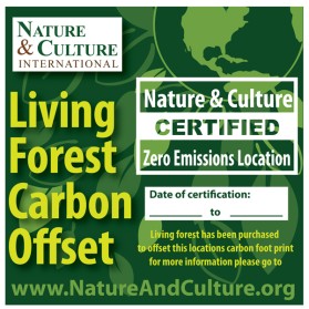 Graphic Design entry 322607 submitted by MariaCane