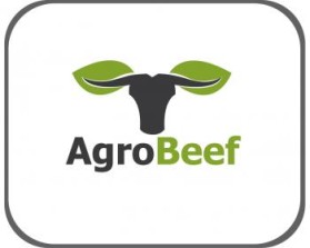 AgroBeef entry by maadezine