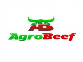 AgroBeef entry by hym35