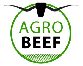 AgroBeef entry by F ective D zine