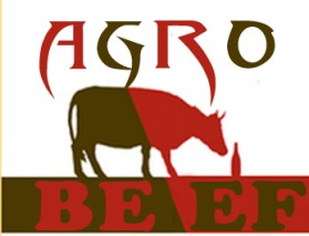 AgroBeef entry by 'ROCK'