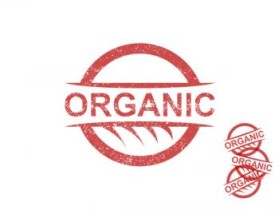 Organic "rubber stamp" image entry by jmill