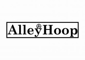 AlleyHoop™ Basketball Goal entry by an anonymous creative