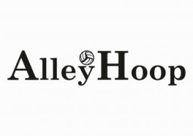 AlleyHoop™ Basketball Goal entry by an anonymous creative