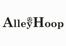 AlleyHoop™ Basketball Goal entry by an anonymous creative