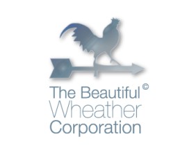 The Beautiful Weather Corporation entry by feeldesign