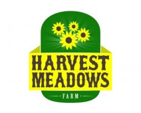 Flower Logos design