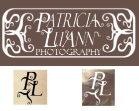 Patricia LuAnn Photography Capturing-Life entry by Laurenn