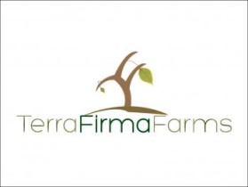 Logo Design entry 342926 submitted by Al Ahmad