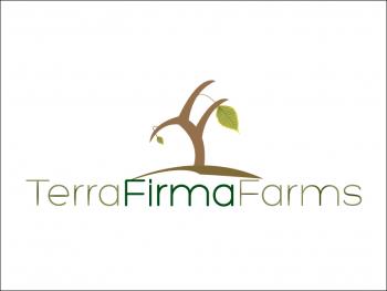 Logo Design entry 342926 submitted by Al Ahmad