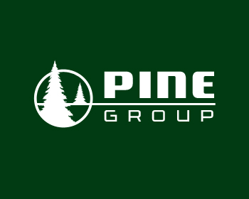 Logo Design entry 348242 submitted by borzoid