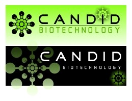 Logo Design entry 357204 submitted by RevoRocket