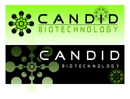 Logo Design entry 357204 submitted by RevoRocket