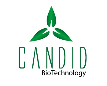 Logo Design entry 357785 submitted by Mespleaux