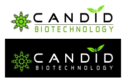 Logo Design entry 358484 submitted by RevoRocket