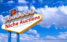 NicheAuctions.com entry by rogerk141