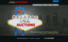 NicheAuctions.com entry by brandasaur