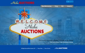 NicheAuctions.com entry by brandasaur