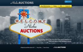 NicheAuctions.com entry by brandasaur