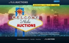 NicheAuctions.com entry by brandasaur