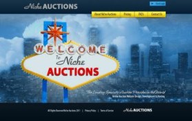 NicheAuctions.com entry by brandasaur
