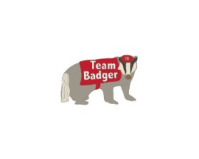 Team Badger entry by Connie Hall