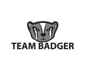 Team Badger entry by Carol Sloan