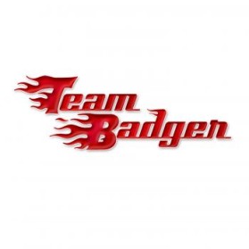 Team Badger entry by Sara Spillum