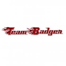 Team Badger entry by Sara Spillum