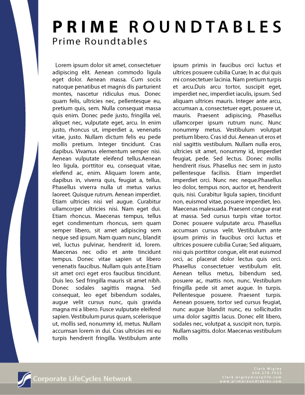 Brochure Design for Prime Roundtables Document Format