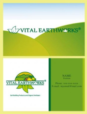 Vital Earthworks entry by Valeska
