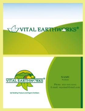 Vital Earthworks entry by Valeska