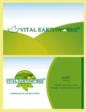 Vital Earthworks entry by Valeska