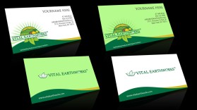 Vital Earthworks entry by RNHalawi