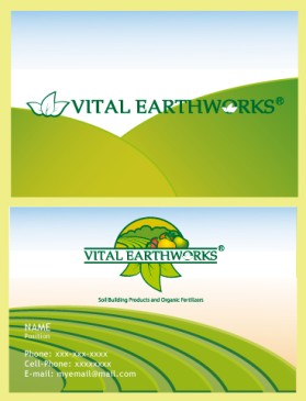 Vital Earthworks entry by Valeska