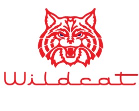 Wildcat Boat Logo entry by zsolti