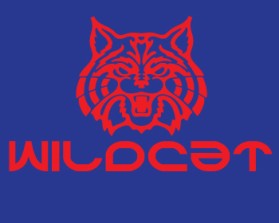 Wildcat Boat Logo entry by zsolti