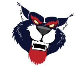 Wildcat Boat Logo entry by JINKODESIGNS